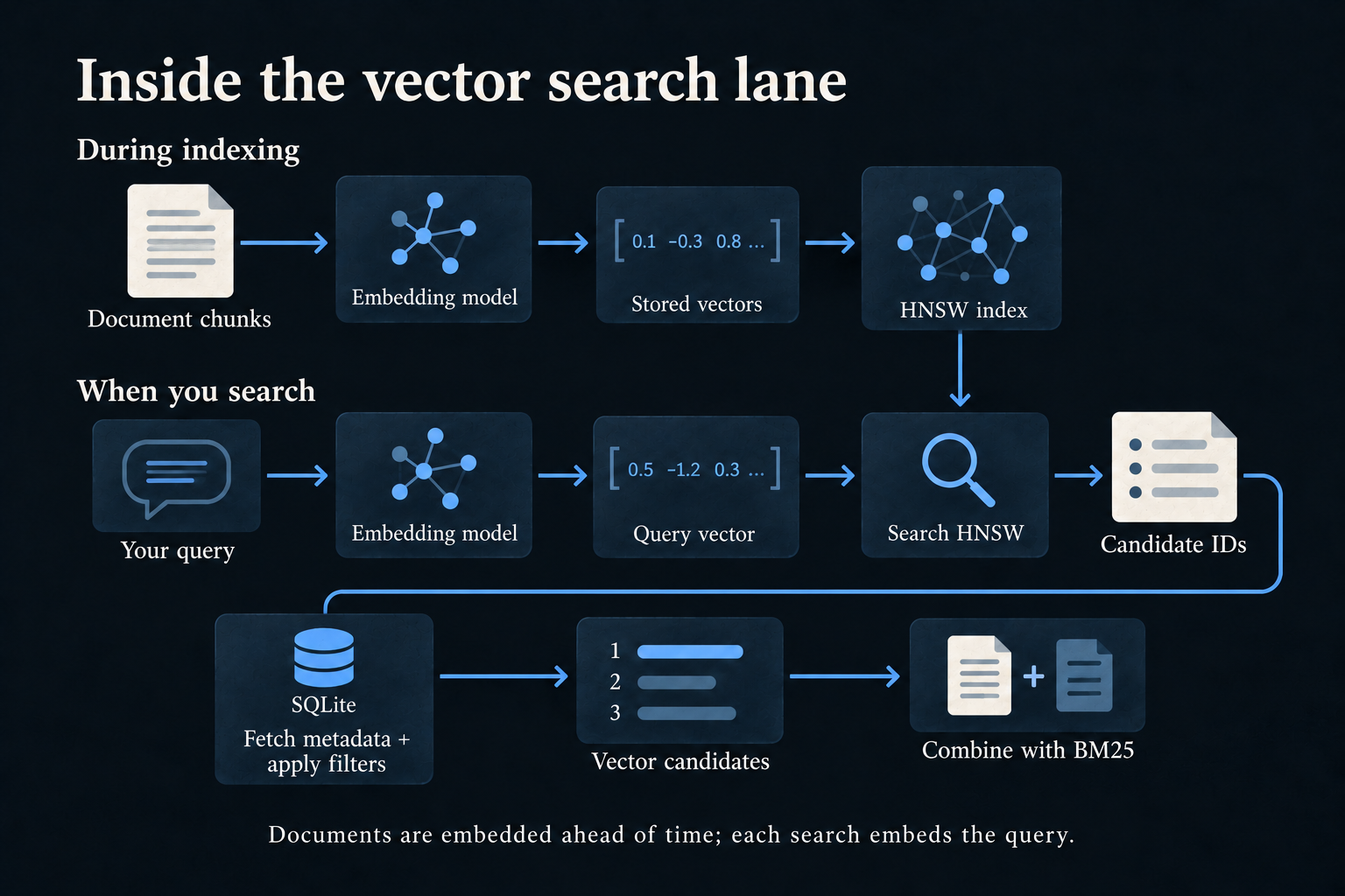During indexing, chunks are embedded and their stored vectors populate HNSW. During search, the query is embedded, HNSW returns candidate IDs, metadata and filters are applied, and vector candidates are combined with BM25.